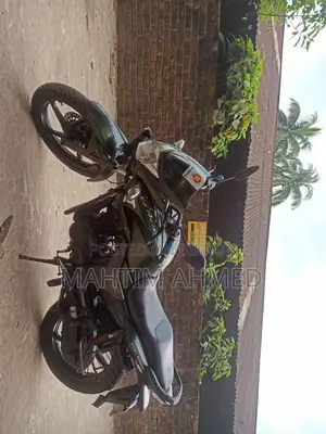 হিরো হাংক ১৫০ ২০১২ গ্রিন