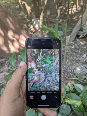 অ্যাপল আইফোন এক্সআর ১২৮ জিবি রেড