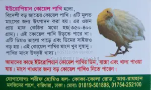 নিরাপদ মাংস পরিবারের জন্য