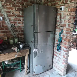 এলজি ৩৮৭এল / ১৪সিএফটি ফ্রিজ ফুল ওকে