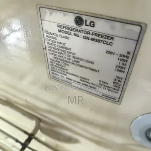 এলজি ৩৮৭এল / ১৪সিএফটি ফ্রিজ ফুল ওকে