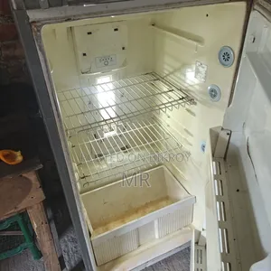 এলজি ৩৮৭এল / ১৪সিএফটি ফ্রিজ ফুল ওকে