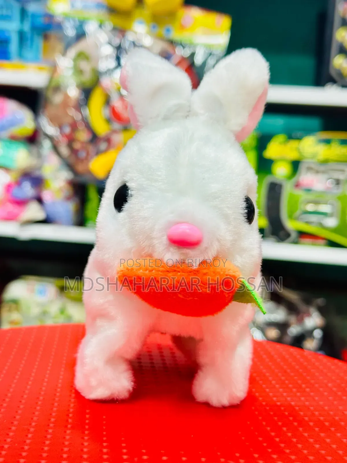 Cute Rabbit