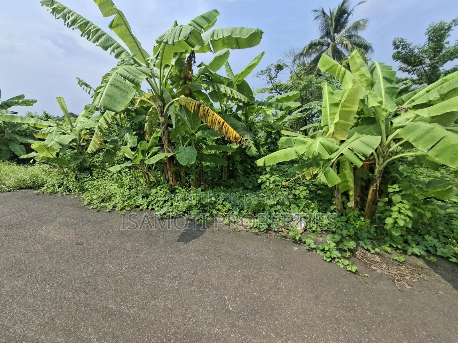 দক্ষিণ মুখে ৩ কাটা প্লট বিক্রয় সেক্টর ২৬