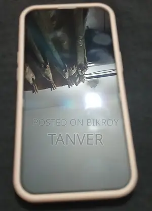 অ্যাপল আইফোন ১৩ ১২৮ জিবি রোজ গোল্ড
