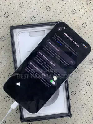 Apple iPhone 13 Pro Max 256 GB Blue