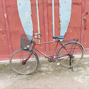 বাইসাইকেল, ফনিক্স বাইসাইকেল, কলেজ সাইকেল