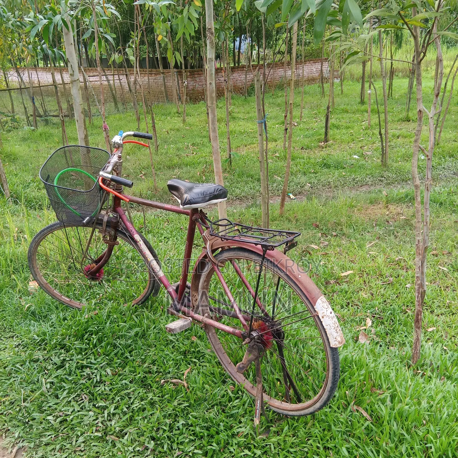 বাইসাইকেল, ফনিক্স বাইসাইকেল, কলেজ সাইকেল