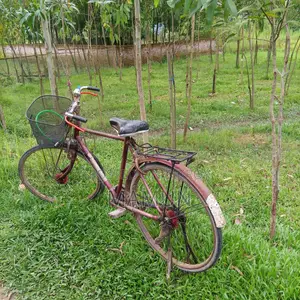 বাইসাইকেল, ফনিক্স বাইসাইকেল, কলেজ সাইকেল