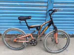 Phoenix 24 Inch Size