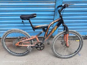 Phoenix 24 Inch Size