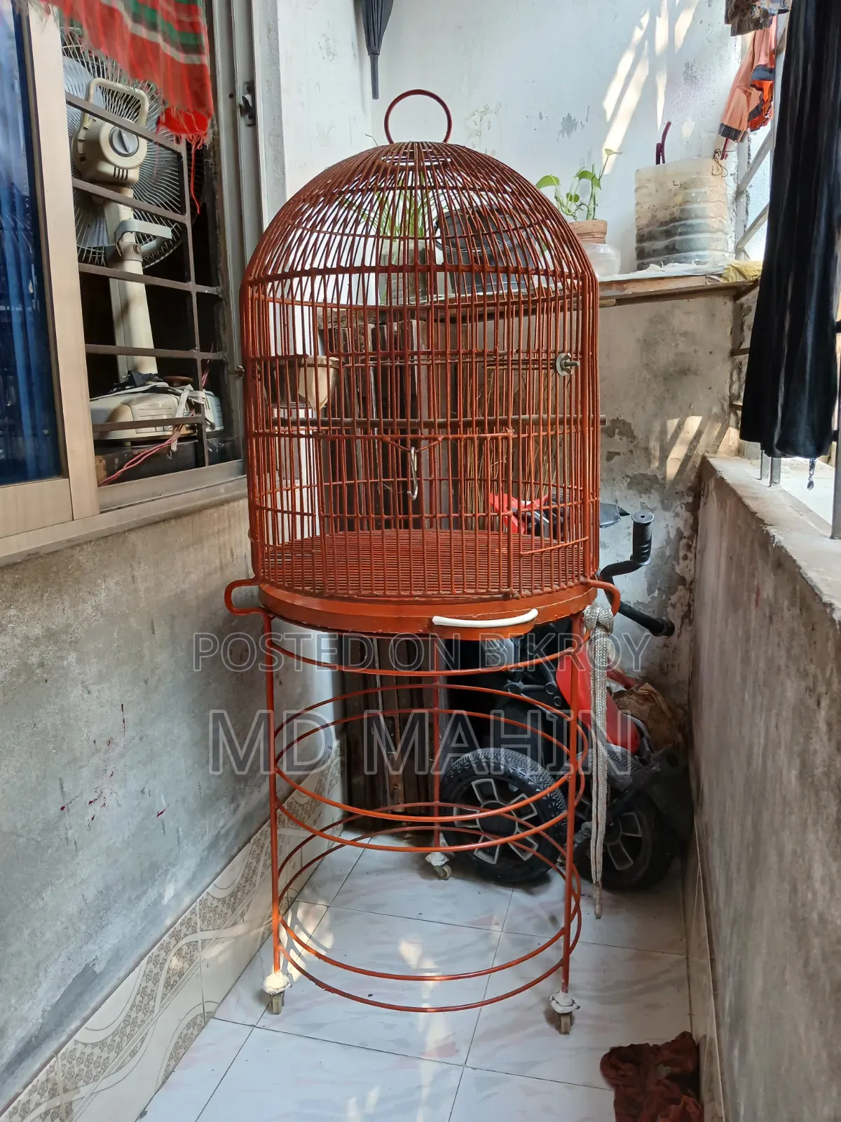 পাখির খাঁচা