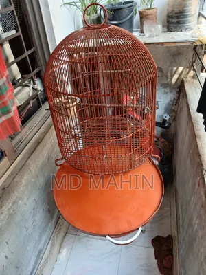 পাখির খাঁচা