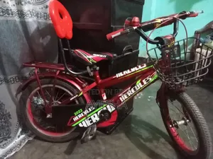 Used Bicycle for Sale