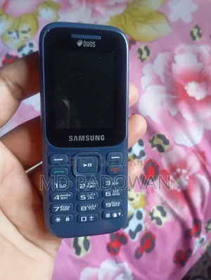 Samsung Guru Music 2 Blue