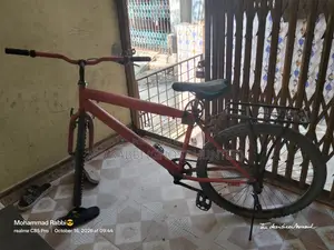 ফোনিক্স ১১