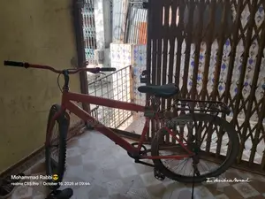 ফোনিক্স ১১