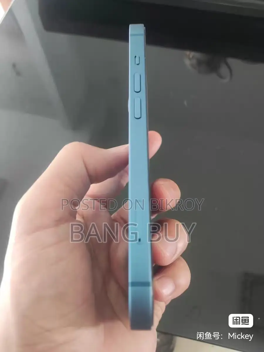 অ্যাপল আইফোন ১৩ ২৫৬ জিবি নীল