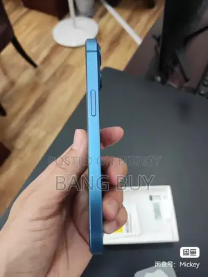অ্যাপল আইফোন ১৩ ২৫৬ জিবি নীল