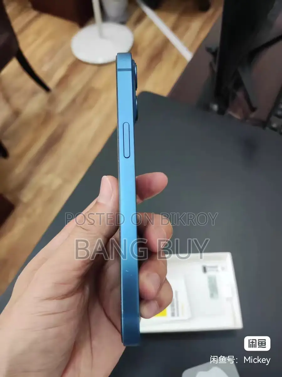 অ্যাপল আইফোন ১৩ ২৫৬ জিবি নীল