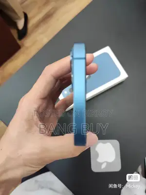 অ্যাপল আইফোন ১৩ ২৫৬ জিবি নীল