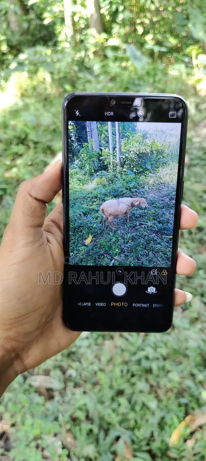 Oppo A5 32 GB Blue