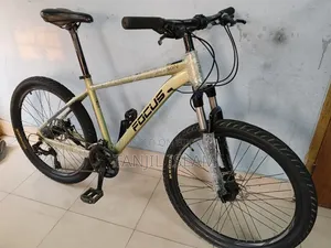 Focus Bicycle
