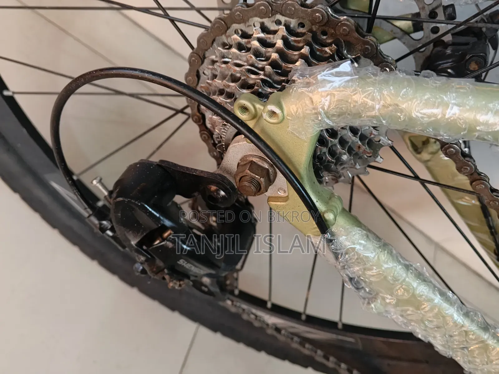 Focus Bicycle