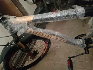 দুরন্ত বাইসাইকেল