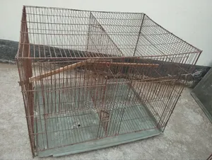 ১৮ /২৪ খাঁচা