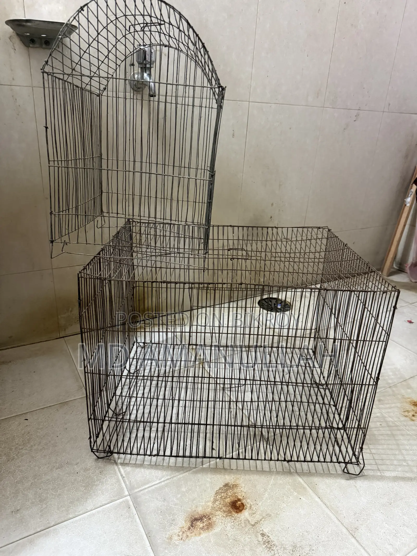 Bird and pigeon cage
