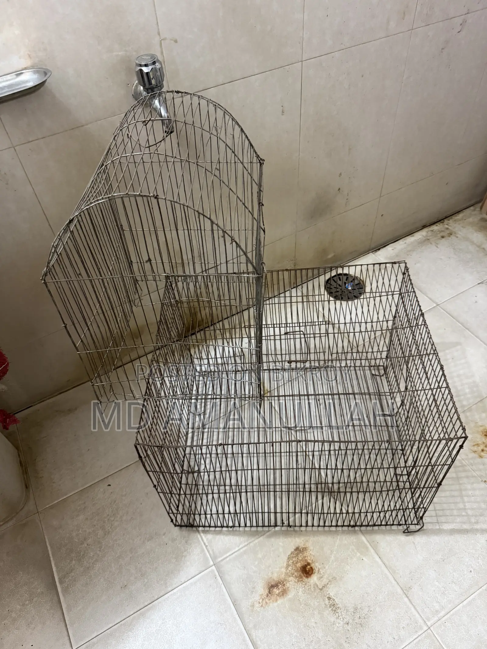Bird and pigeon cage