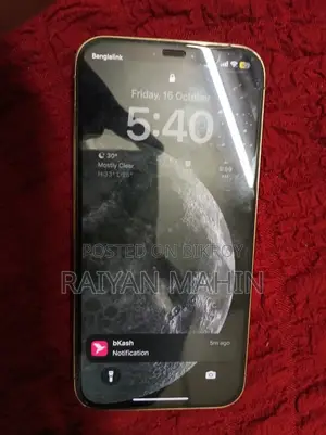অ্যাপল আইফোন ১২ প্রো ১২৮ জিবি রোজ গোল্ড