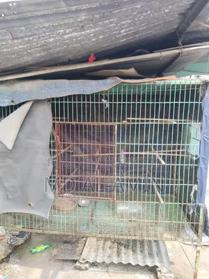Old pigeon cage