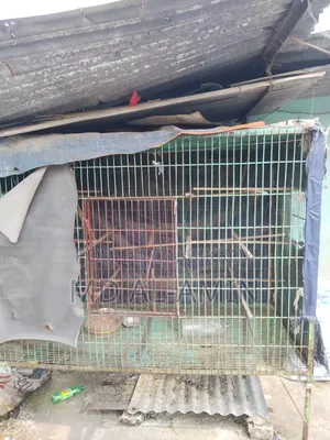 Old pigeon cage