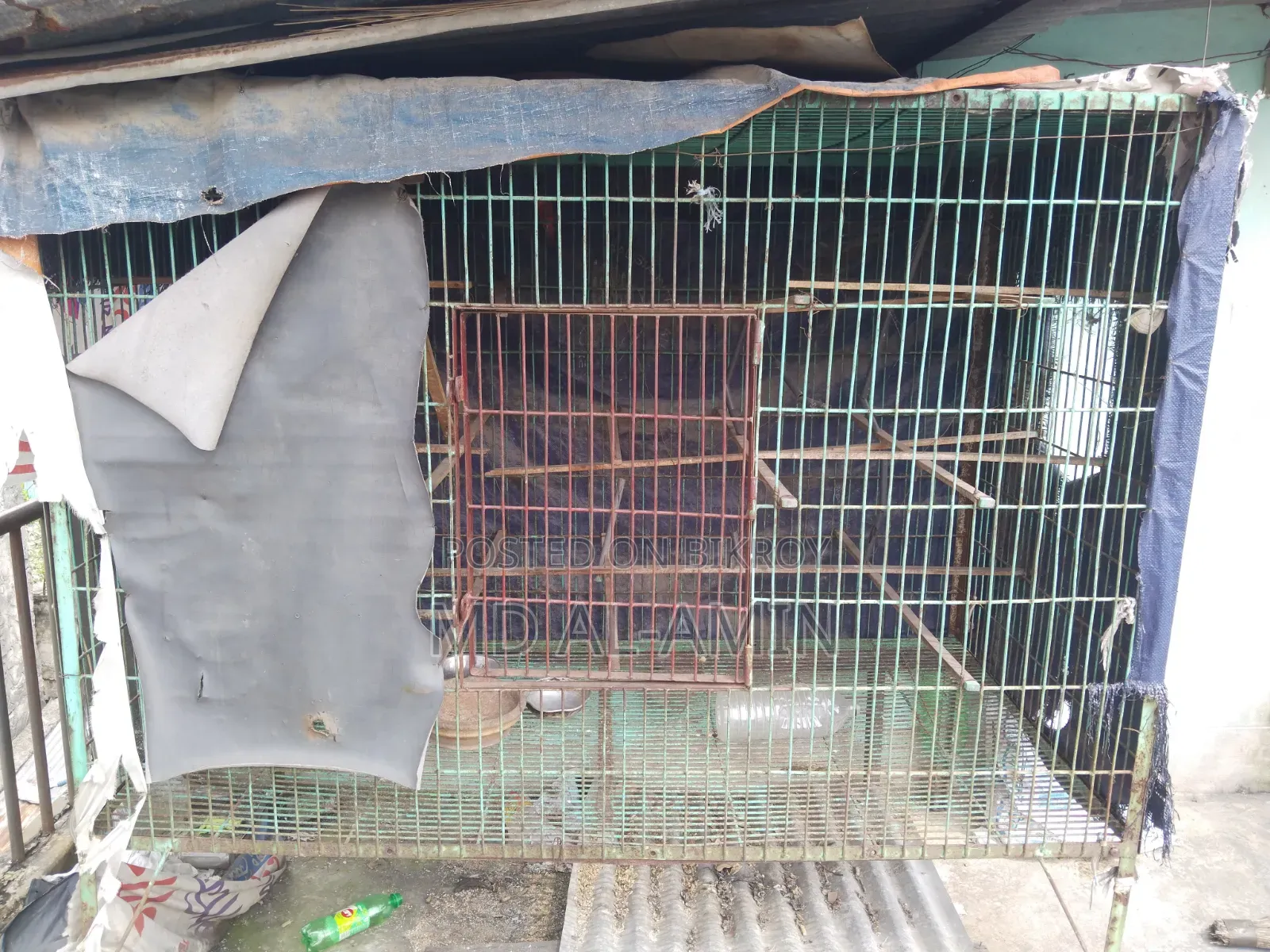 Old pigeon cage