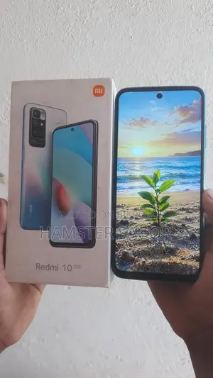শাওমি রেডমি ১০ ১২৮ জিবি সিলভার