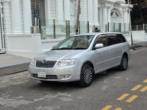 Toyota Corolla Fielder 2004 Silver