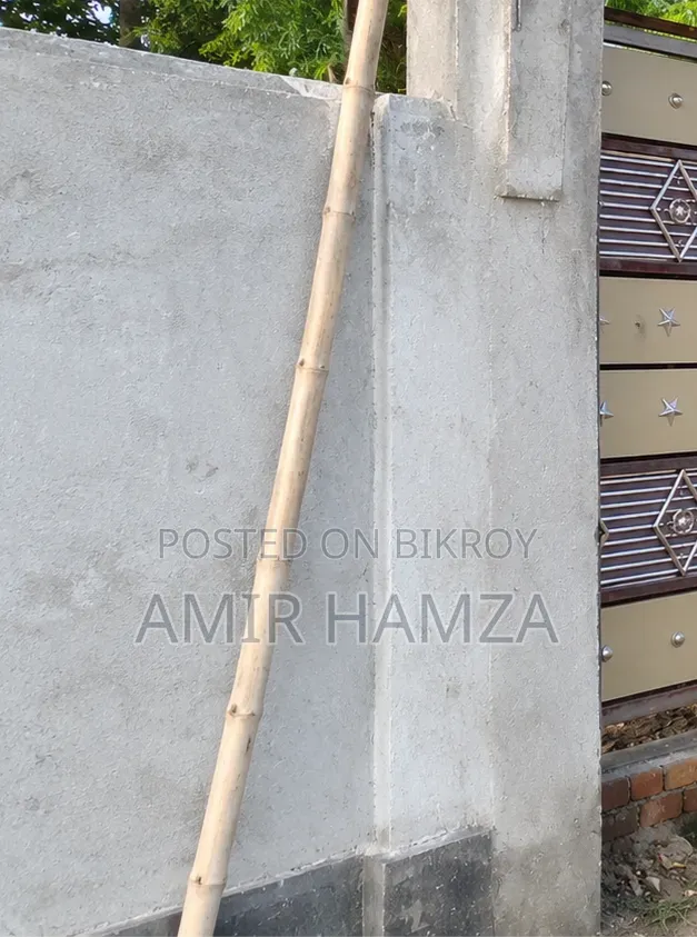 Furnished 3-bedroom House in Pabna Sadar for sale