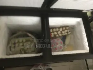 ওয়ালটন ডিপ ফ্রিজ ৩০০ লিটার