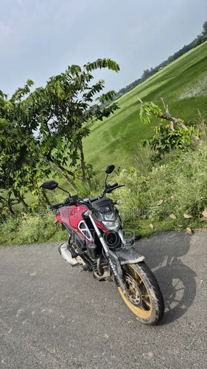 ইয়ামাহা এফজেডএস ভি৩ ২০২৩ লাল