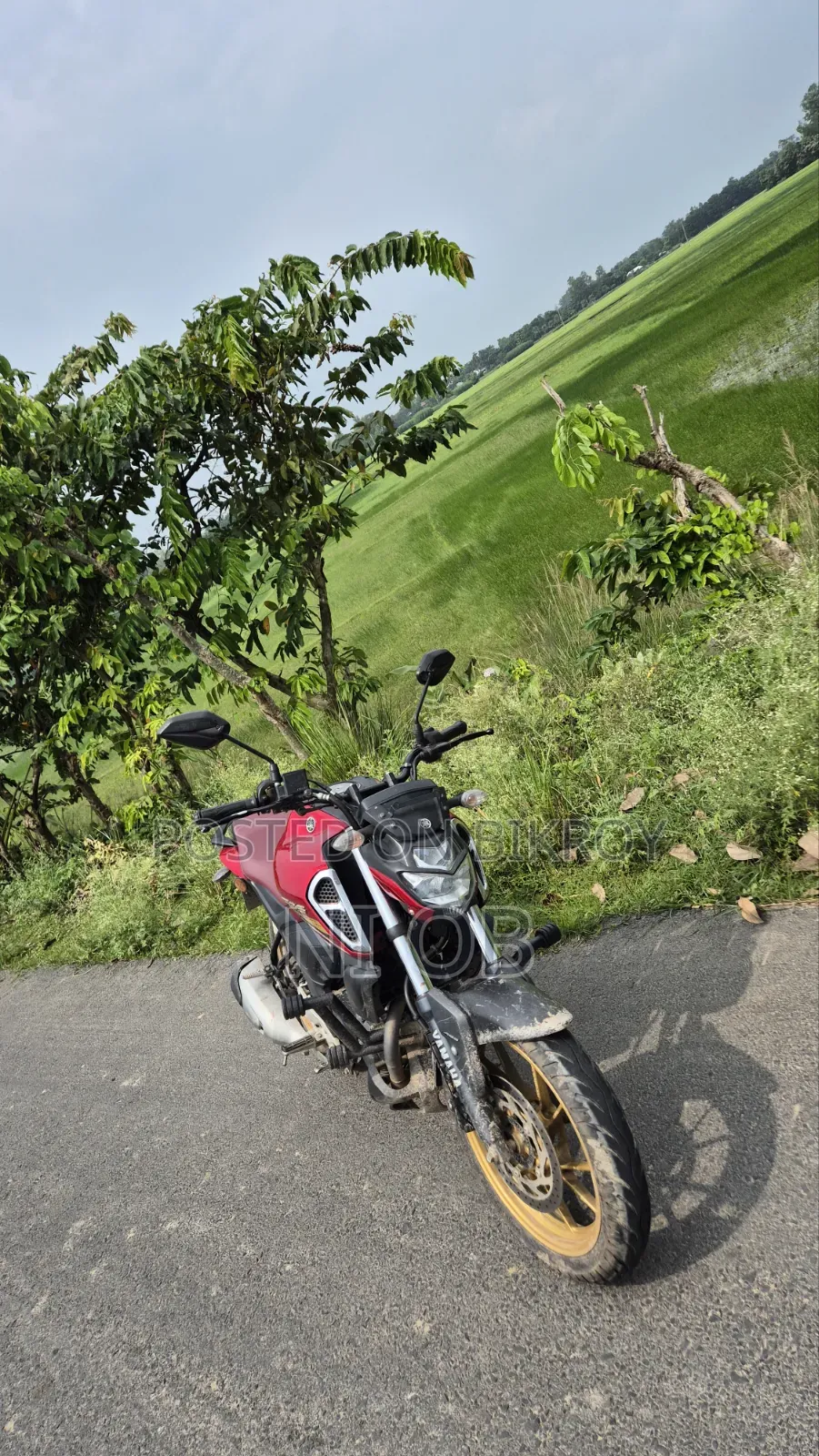 ইয়ামাহা এফজেডএস ভি৩ ২০২৩ লাল