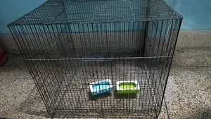 Bird/Pigeon/Chicken Cage