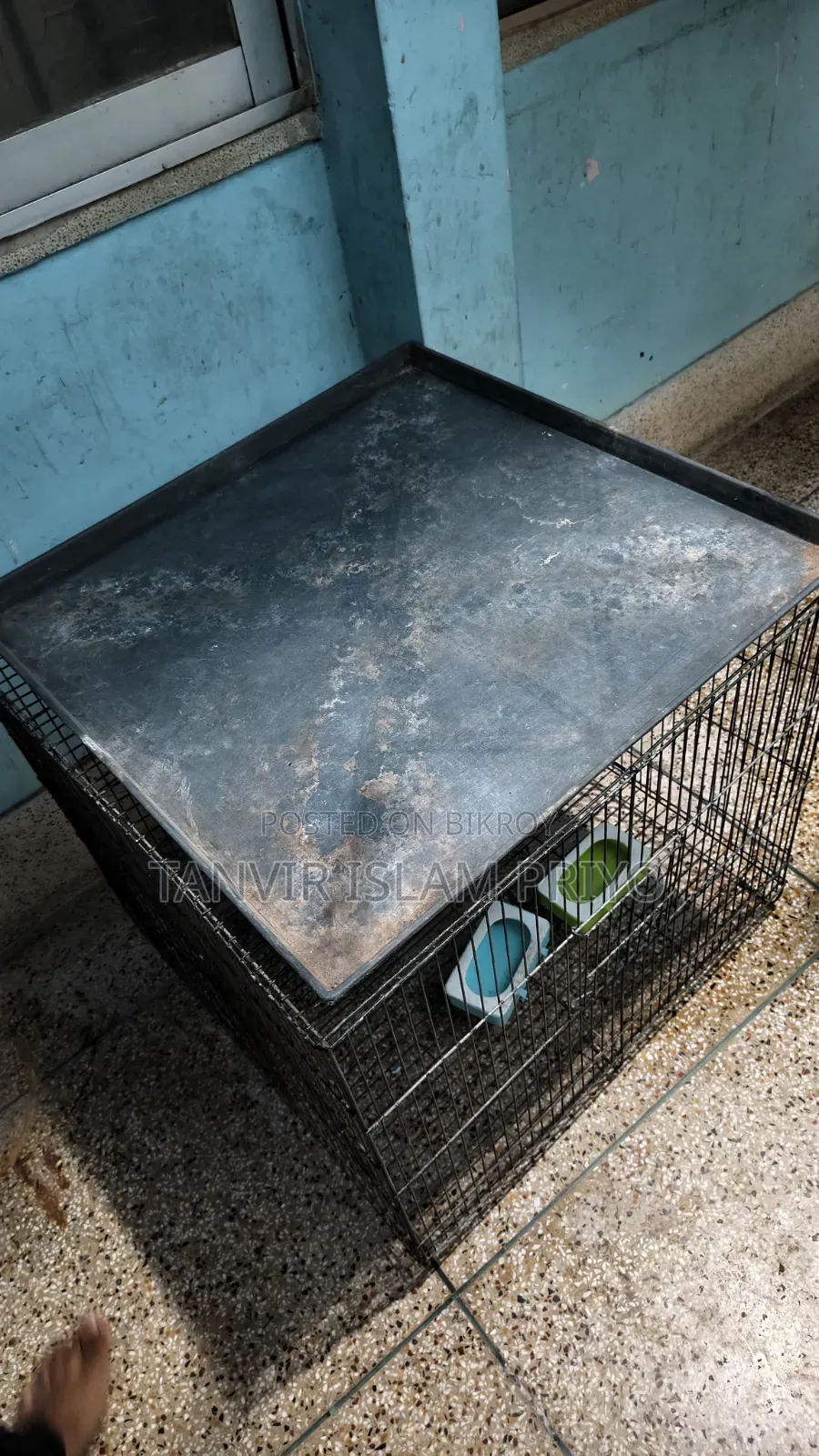 Bird/Pigeon/Chicken Cage