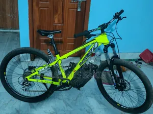 উিসকো ৪এক্স, স্টান সাইকেল