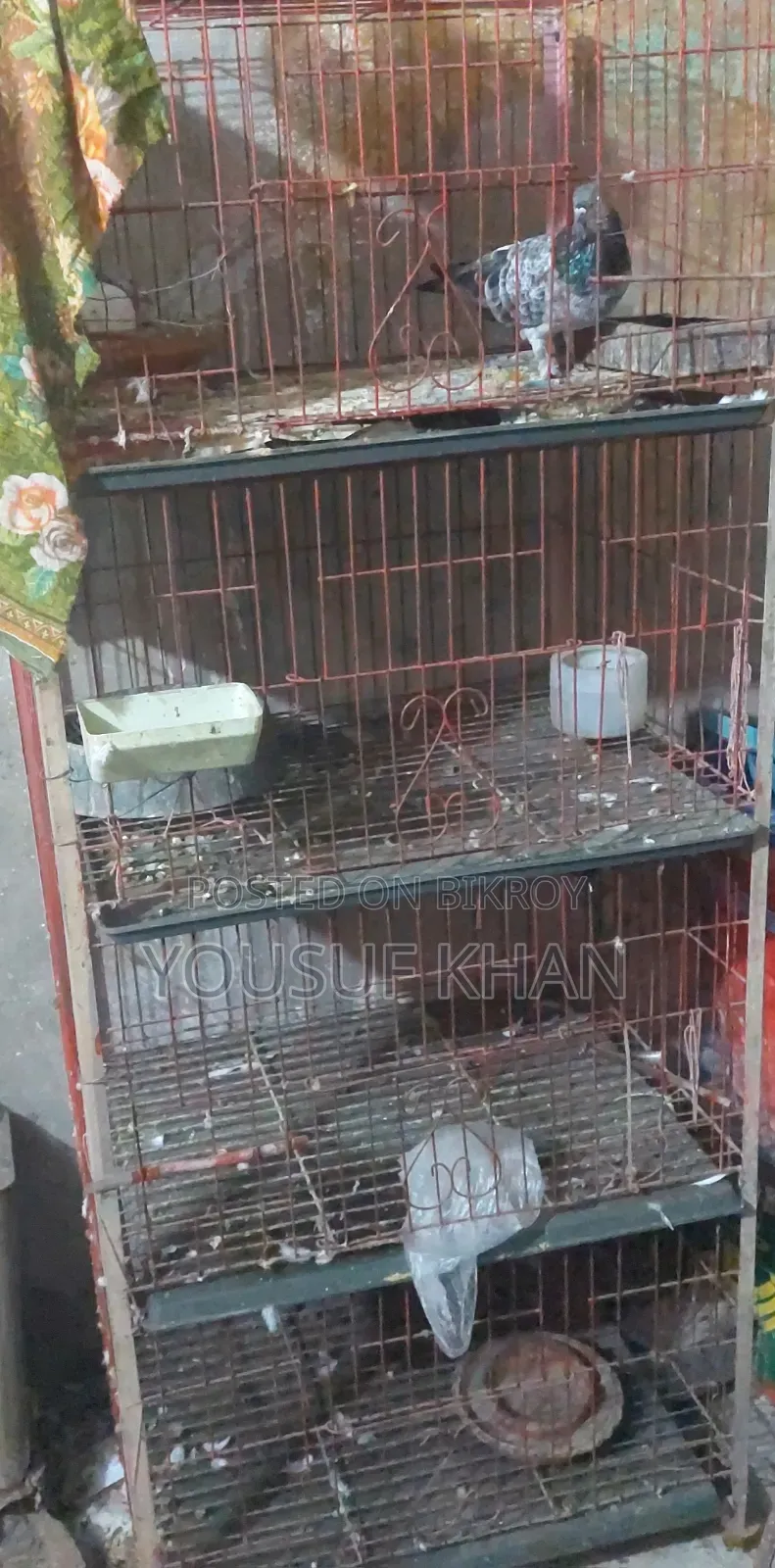 Cage for sale