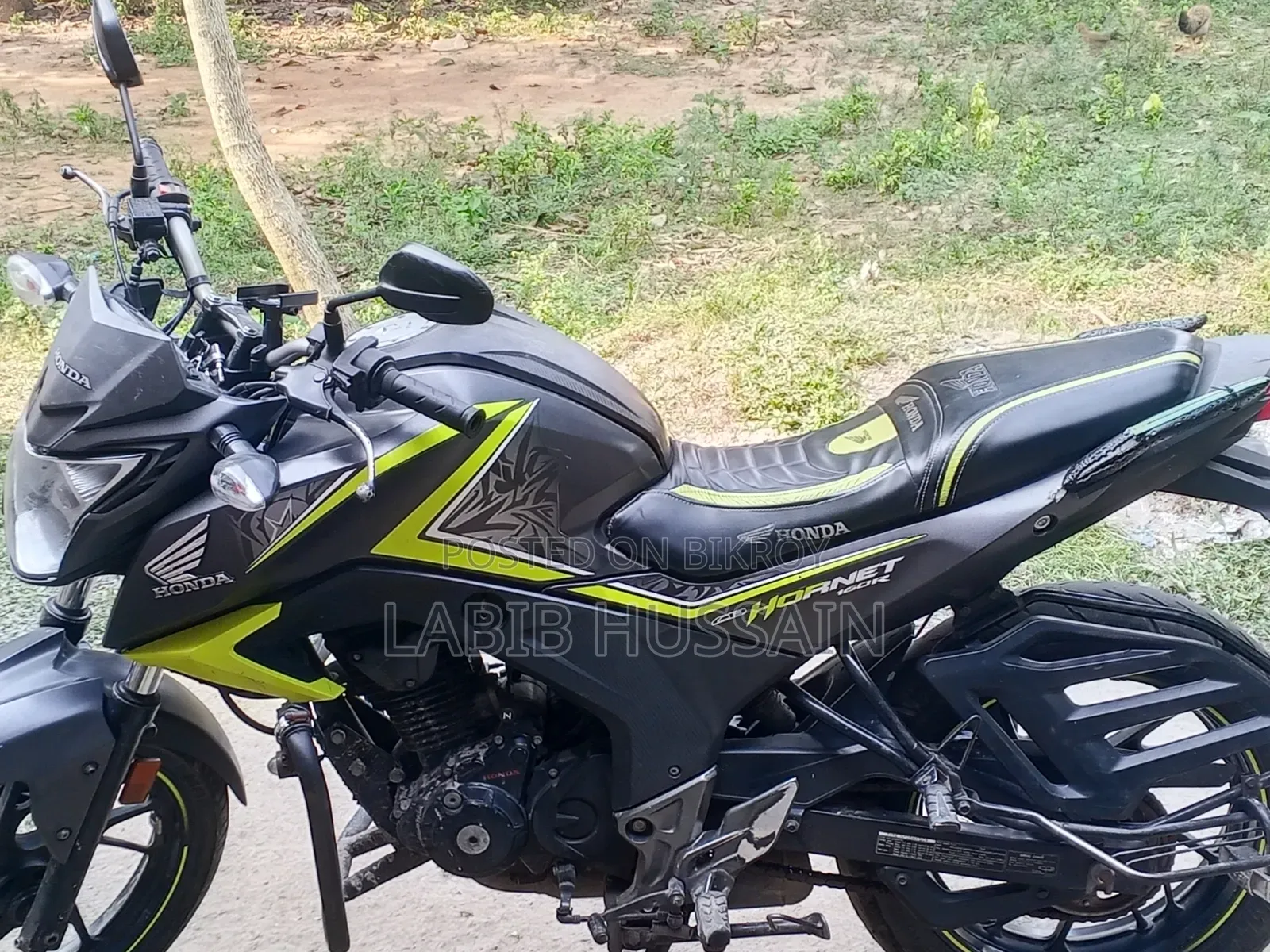 Honda Hornet 2018 Green