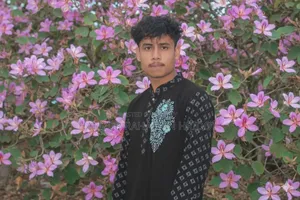 আমি একজন ভালো ড্রাইভার চাকুরী দিয়ে দেখেন