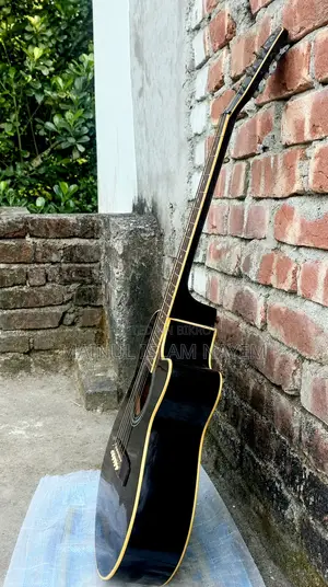 AXE AG-48C (ব্ল্যাক) গিটার ফর সেল