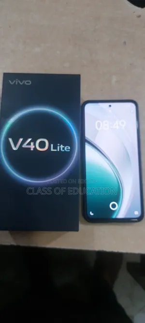 Vivo V40 Lite 256 GB Silver